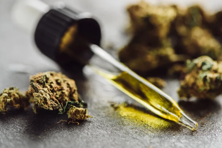 Cercetătorii olandezi reconstituie enzimele ancestrale ale canabisului, deschizând noi perspective pentru dezvoltarea de medicamente pe bază de canabinoizi rari