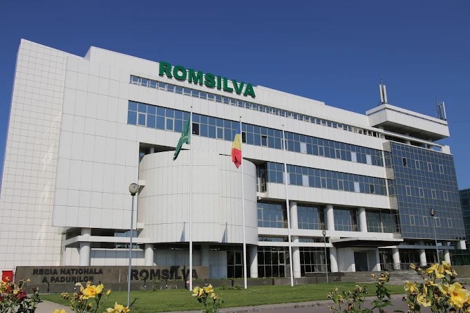 Romsilva a demarat procedura de selecție pentru un nou director general, cu criterii extinse de transparență și publicarea interviurilor candidaților